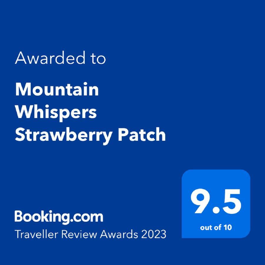 فيلا Mountain Whispers Strawberry Patch بلاكيث المظهر الخارجي الصورة